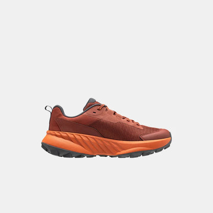 Helly Hansen Men's AWE Hiker DWR Shoe